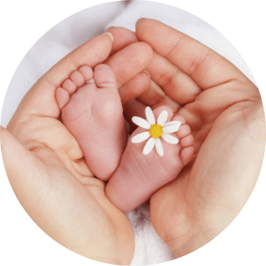 Донорство эмбрионов